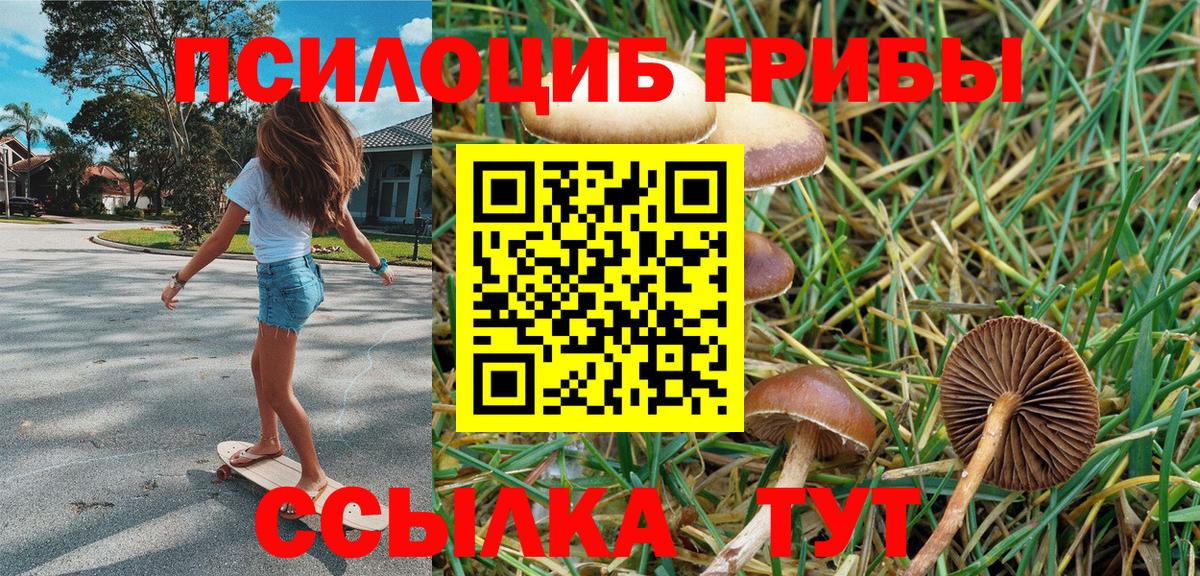 Уварово  Псилоцибиновые грибы Psilocybe  Вход с VPN 